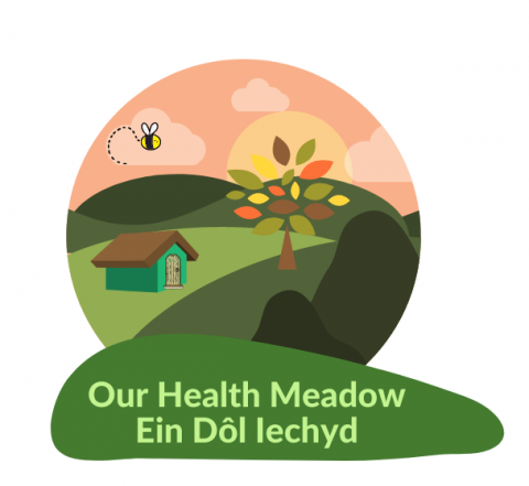 Our Health Meadow – Ein Dôl Iechyd
